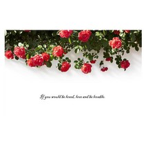 하우디 내츄럴벽지 F-1217