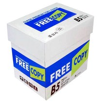프리카피 B5 복사용지 75g, 2500매