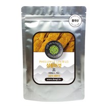 동이약초 중국산 상황버섯 절편, 1kg, 1개