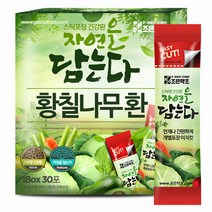 조은약초 황칠나무환 스틱, 3g, 30개입