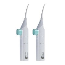 갓샵 덴탈 파워 플로스 물치실, 100ml, 2개
