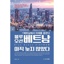 [타래]블루오션 베트남 아직 늦지 않았다 (베트남에서 미래를 꿈꾼다), 타래, 김효성