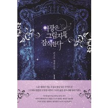 역광은 그림자를 잠식한다 1:은소로 장편소설, 로크미디어, 은소로 저