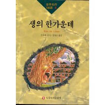 생의 한가운데(세계명작100선 6), 일신서적출판사, 린저