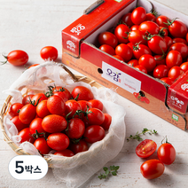 충남세도 GAP 인증 대추방울토마토, 1kg, 5박스