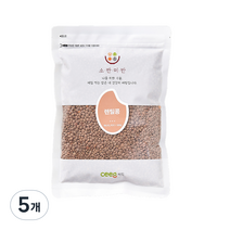 씨익 소반미반 렌틸콩, 500g, 5개
