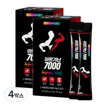 홀리데이즈 아르기닌 7000 15포, 300g, 4개