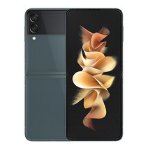 삼성전자 갤럭시 Z플립3 5G SM-F711N, 256GB, 그린
