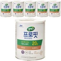 셀렉스 스포츠 웨이 프로틴 파우더 초콜릿, 627g, 6개