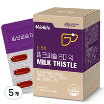 대상웰라이프 밀크씨슬 B파워 21g, 30정, 5개