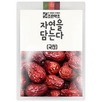 조은약초 자연을 담는다 대추, 700g, 1개