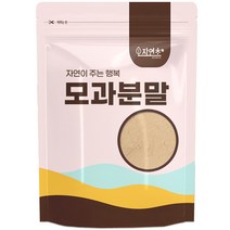 자연초 모과 분말 가루, 300g, 1개