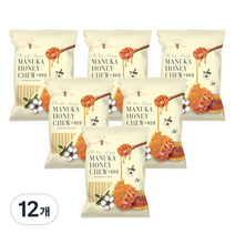 퍼피아이 마누카 꿀 유산균 강아지 껌 100g, 쌀가루, 12개