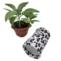 햄스터 일자 통로 N21-02, 그레이 레오파드, 1개