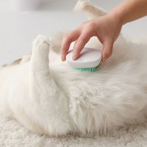 제이에이치컴퍼니 캔디컬러 캣 촘촘 버튼 브러쉬, 민트, 1개