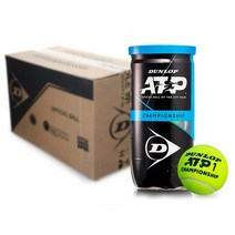 던롭 챔피언십 ATP 시합 테니스공 2p, 옐로우, 36캔