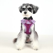 퍼피아 강아지 비비안 체크자켓 하네스 B AH860, 퍼플