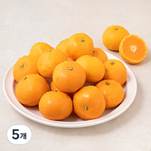 다조은 강서시장 새벽경매 하우스 감귤, 800g, 5개