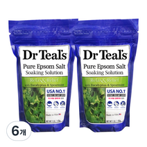 닥터틸즈 솔트 유칼립투스 앤 스피아민트 입욕제, 450g, 6개