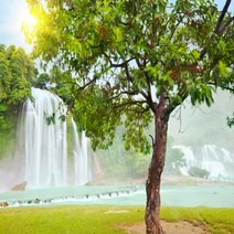 하우디 포토벽지, V-1229