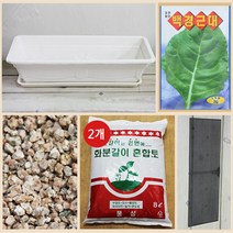 행복한세상 텃밭가꾸기 대 화이트 근대, 1개