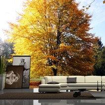 프렌체 프렌체 포토벽지, p-068