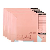 엘립스 문서보관상자 분홍, A4, 5매