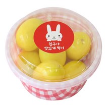 황씨네도시락 뉴 미니 원형 도시락 본체 6p + 뚜껑 6p + 레드토끼 친구야 맛있게먹어 스티커 6p, 1세트