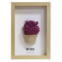 드라이데코 레인디어모스 천연이끼 나무액자, 핑크