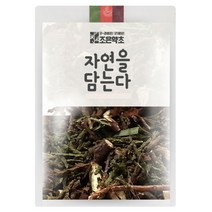 조은약초 측백엽, 600g, 1개