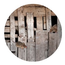 리빙팝 3D 일상속 원형 발 매트, 8 type