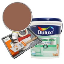 듀럭스 안티 포름알데히드 올인원 페인트 3L 세트, Soft Copper