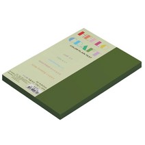 뉴씨플레인 종이문화 친환경 양면색상지 No62 솔잎색 100p, 1개