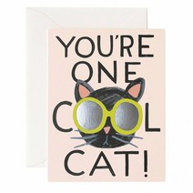 라이플페이퍼 COOL CAT 카드 + 봉투, 혼합 색상, 1세트