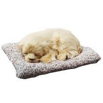 삼에스 활성탄 REAL 동물장식 인형 BIG, 골든 리트리버, 1개