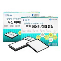 우진필터 차량용 뉴우진 미세먼지 에어컨 히터 필터 M, ss01, 2개입