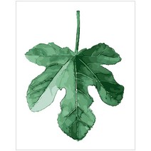 아이러브페인팅 보태니컬 DIY 명화그리기 40 x 50 cm, 픽 리프