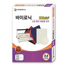 삼은파트너스 바이로닉 고급 종이 제본표지 100p, 레드, A4