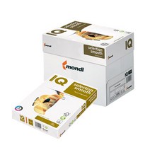 몬디 다용도 복사용지 100g IQ SELECTION, A4, 2000매