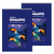 fullcolors 전문가용 스케치북 170g 랜덤 발송 2p, 5절, 15매