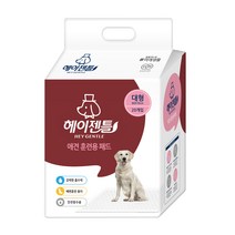 미래생활 헤이젠틀 애견 훈련용 배변패드 20매, 1팩