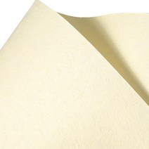 삼원 에코클로스지 S패턴 120g 4절 2미색, 20개입