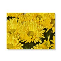 리틀하이커 flower 캔버스 프린팅 액자 A3W35 105