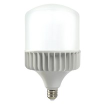 포커스 신광 LED 하이크림벌브 공장등 60W E26, 주광색, 1개