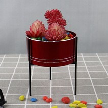 TP 홈인테리어 심플 원형 다육이 화병, 레드세트