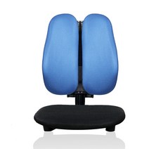 이편한의자 메쉬 의자 Q3000, 블루
