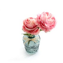 다우에프앤지 조화 피오니 뷰티 로마 유리병 콤비, 스틱(뷰티), 유리병(그린), 1세트