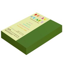 종이문화 양면색상지 뉴씨플레인 16절 No.62 솔잎색, 280매