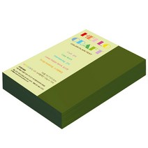 종이문화 뉴씨플레인 양면색상지 16절 No.DN41 올리브색 280매, 1개