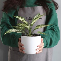 모리앤 플랜트 눈금화분 원형 2p, 화이트